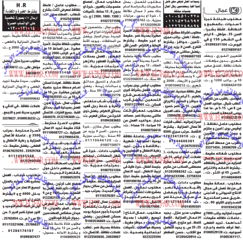 جميع وظائف عمالة منزلية بجريدة الوسيط القاهرة