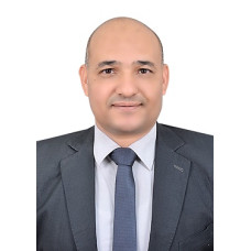 مدير تنفيذ